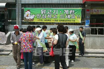 닭고기소비촉진 캠페인 사진