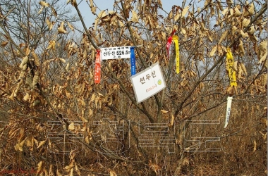 청원군 문화관광 사진 선두산 의 사진