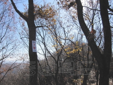 청원군 문화관광 사진 팔봉산 의 사진