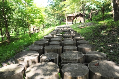 청원군 문화관광 사진 옥화자연휴양림 의 사진