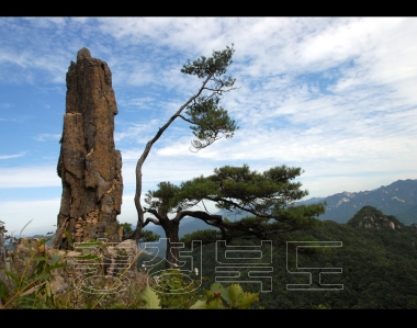 괴산군 문화관광사진 입석바위 의 사진