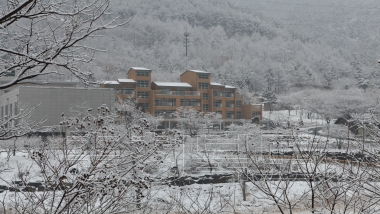 옥천군 문화관광 사진 장령산휴양림 의 사진