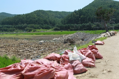 이통장연합회 충북지부 자원봉사 참여자 격려 및 피해복구사진 사진