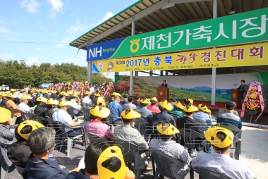 충북 한우경진대회 및 제천가축시장 준공식 사진