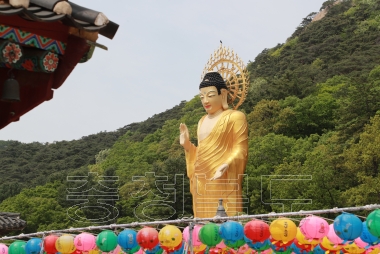 불기 2563년 부처님 오신 날 봉축 법요식 사진