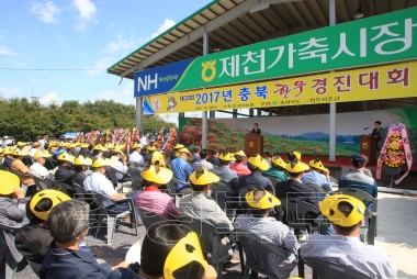 충북 한우경진대회 및 제천가축시장 준공식 의 사진