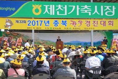 충북 한우경진대회 및 제천가축시장 준공식 의 사진