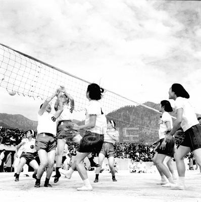 제38회 전국체육대회 충북선수경기 의 사진