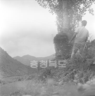 김효영 도지사 시군 순방 의 사진