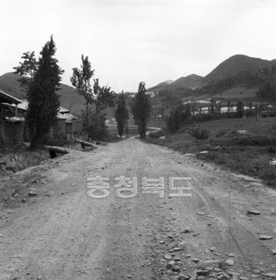 청천-화양동간 도로 의 사진