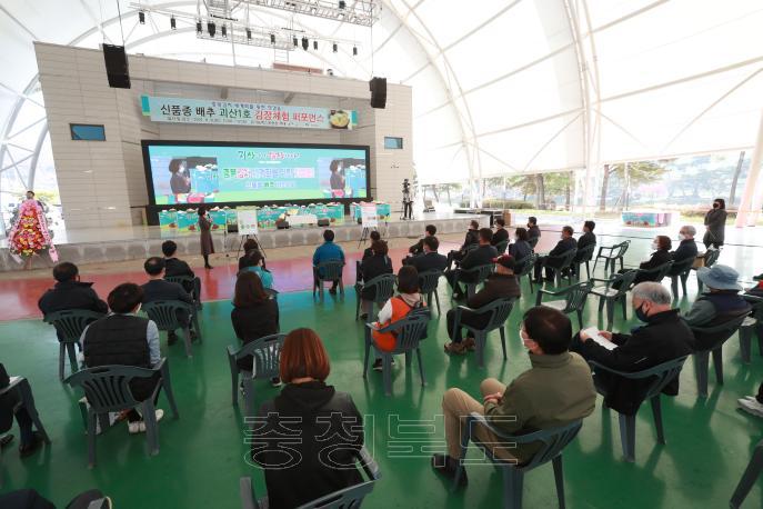 괴산김장축제, 충북 대표김치 나눔 행사 의 사진