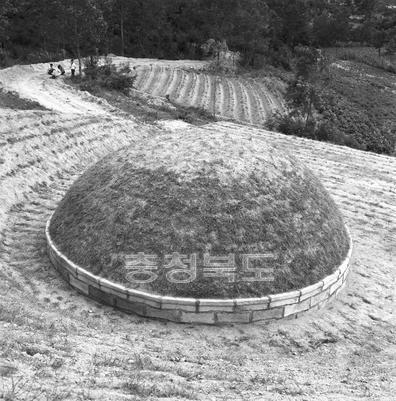 신홍식 선생 묘소 단장 의 사진
