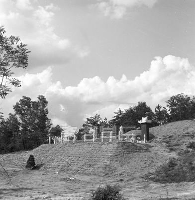 정춘수 선생 묘소 의 사진