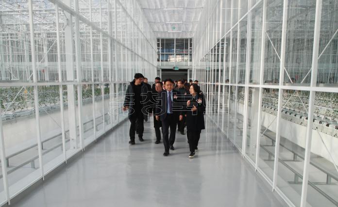 20241217 - 농업기술원 스마트팜 준공식(충북농업기술원 도지사) 사진