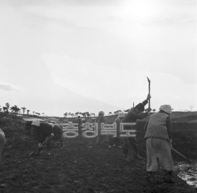 농로 작업 의 사진