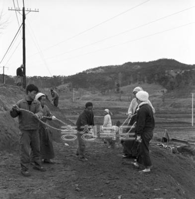 농로 개설 작업 의 사진
