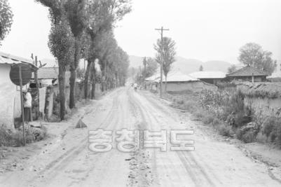 청주- 보은간 도로 확장 공사 의 사진