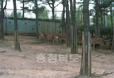 사슴목장 의 사진