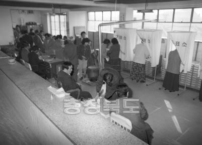 국회의원 선거 투표,개표 사진