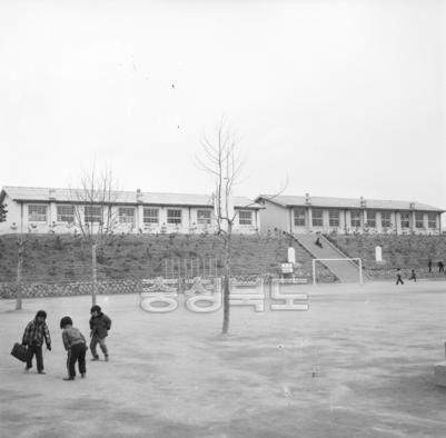 청남국민학교 전경 의 사진