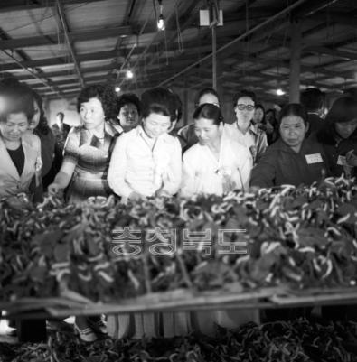 제4회 전국 새마을 양잠 시범대회 의 사진