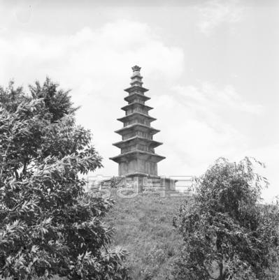 중앙탑 의 사진