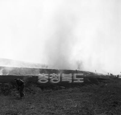 논 밭두렁 태우기 의 사진