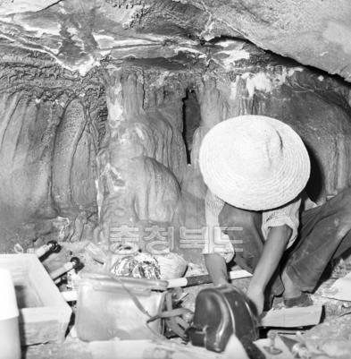 동굴 속 동물 뼈 발굴조사 의 사진