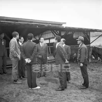 비육우 목장 시찰 의 사진