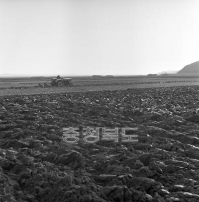 논 가을 갈이 의 사진