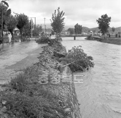수해상황 및 복구작업 의 사진