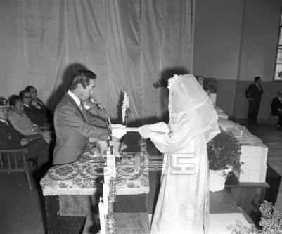 새마을 합동 결혼식 의 사진