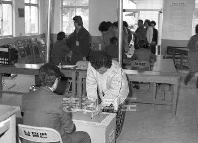 국회의원 선거 투표,개표 의 사진
