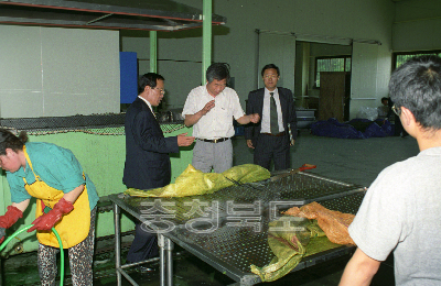 산채나물 가공 공장 방문 의 사진