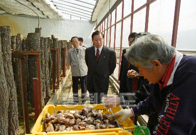 표고버석 시설재배 농가 방문 의 사진
