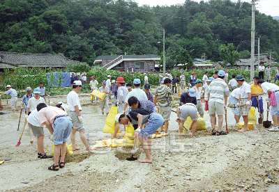 도청직원 수해지역 자원 작업 의 사진