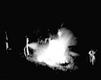 야간 송충나방 포살 의 사진
