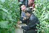속리산 원예작목회 농가와 대화 의 사진