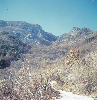 금수산전경(겨울) 의 사진