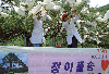 정이품송.정부인소나무 제2세대 묘목생산 의 사진