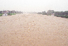 무심천 홍수 의 사진