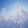 소백산 4계(겨울) 의 사진