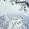 월악산4계(겨울) 의 사진