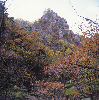 금수산전경(가을) 의 사진