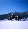 금수산전경(겨울) 의 사진