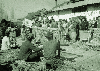 문광면 4-H구락부 가마치기 경진대회 1976 괴산 문광 의 사진