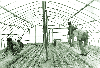 비닐하우스내 온상을 설치 상추를 재배하는 모습 1978 청원 옥산 의 사진