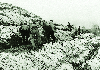 산지개발 계단식 밭 만들기 1969 음성 의 사진