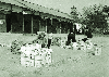 시군 배부용 농업기술 보급용 인쇄물 분류작업 1969 청주 복대 농촌진흥원 의 사진
