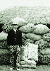 영남화학 비료 지원으로 벼과제 이수 1976 보은 금굴 의 사진